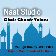 24 Notes Choir Chords WAV Files